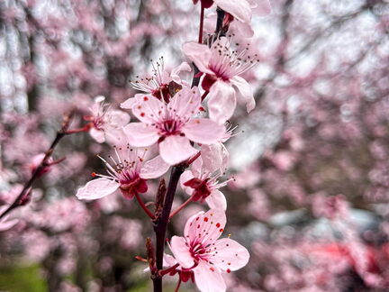 23-03-17 13-28-28 4908